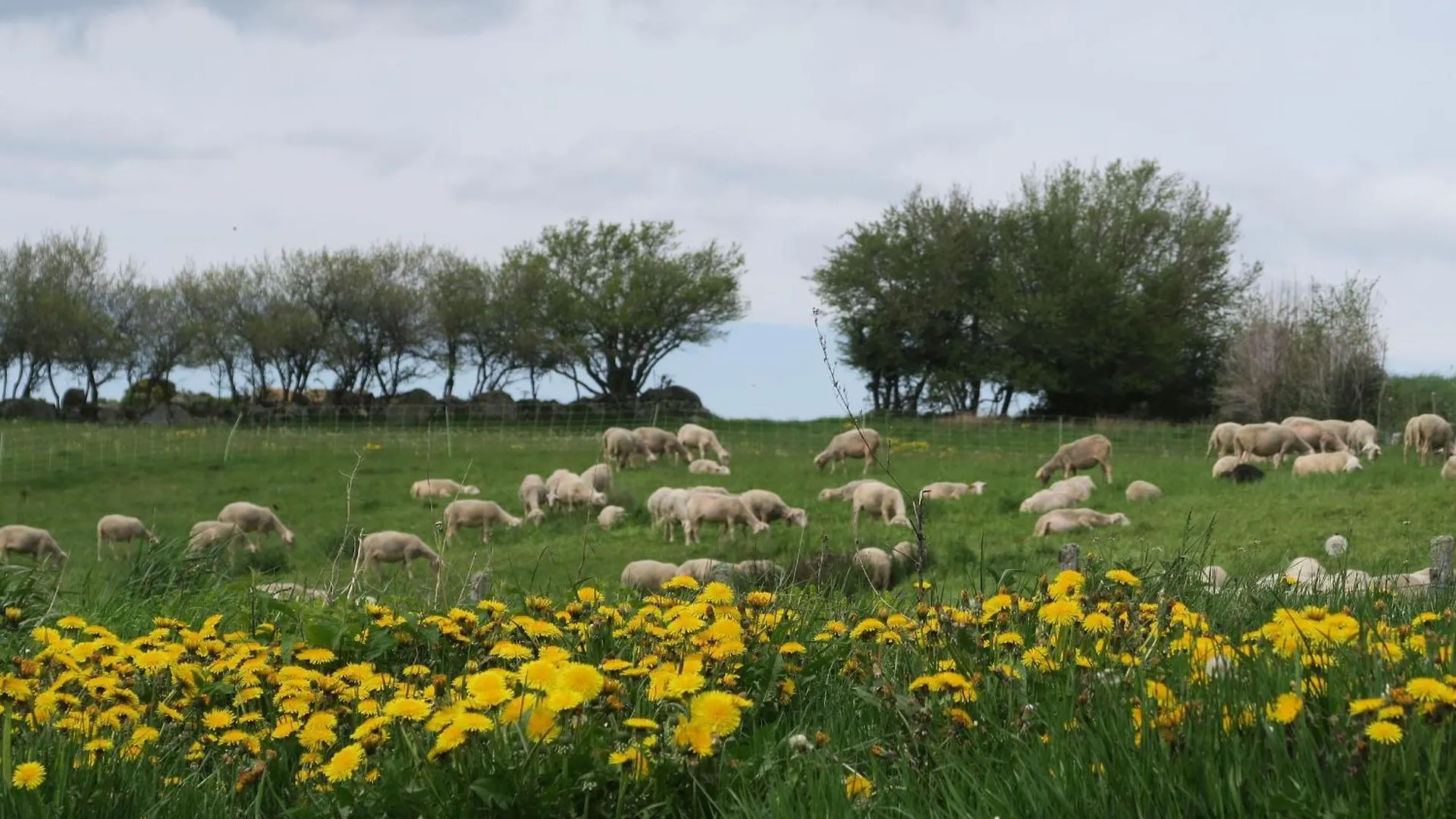 Gite 10 Pers Avec 4 Chambres Et 3 Salles D'Eau, Animaux Admis - Fr-1-582-94 La Besseyre-Saint-Mary Holiday home