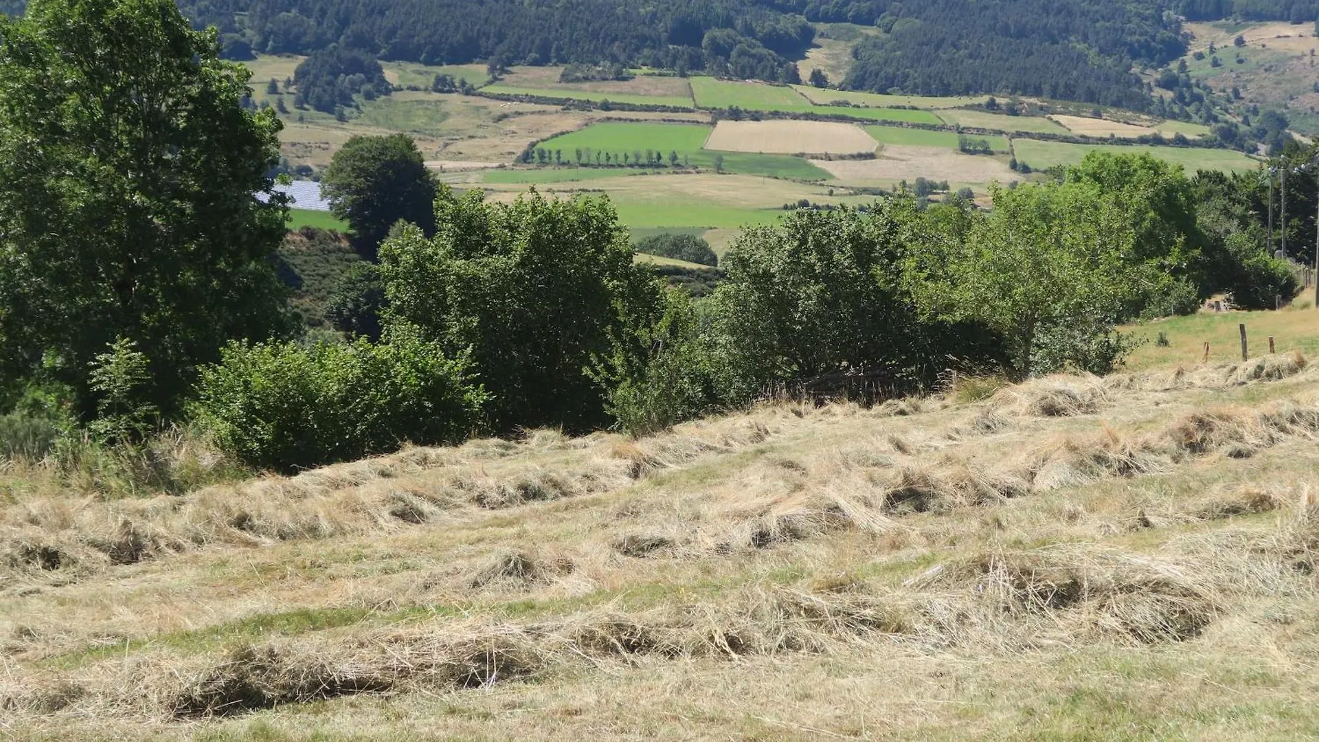 Gite 10 Pers Avec 4 Chambres Et 3 Salles D'Eau, Animaux Admis - Fr-1-582-94 La Besseyre-Saint-Mary France